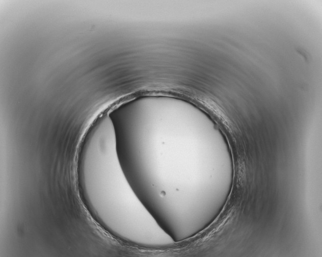 X0000115140976200911101704