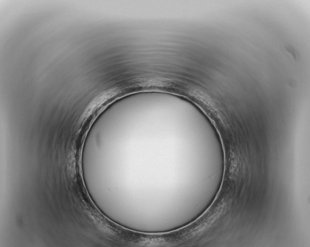 X0000115140978200911101704
