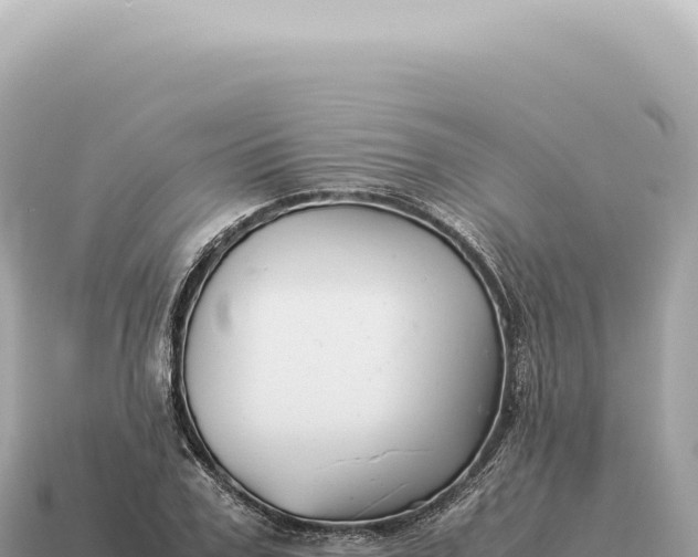 X0000115140979200911101704