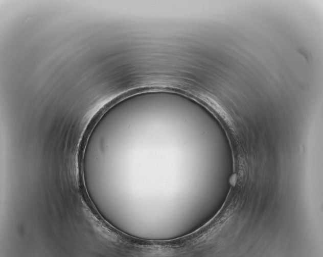 X0000115140980200911101704