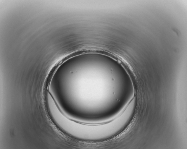 X0000115140981200911101704