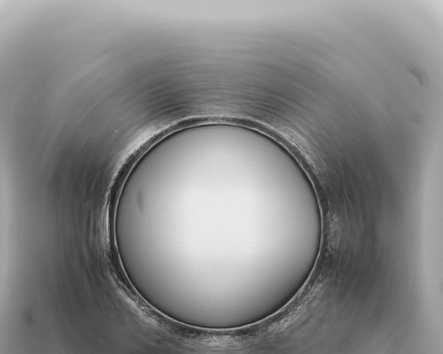 X0000115140982200911101704