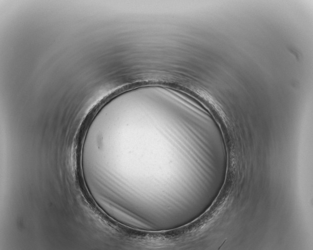 X0000115140983200911101704