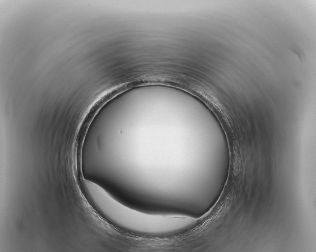 X0000115140984200911101704