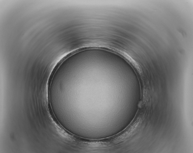 X0000115140988200911101704