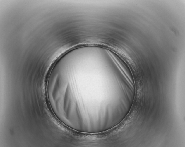 X0000115140990200911101704