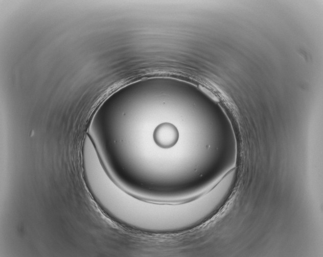 X0000115140993200911101704