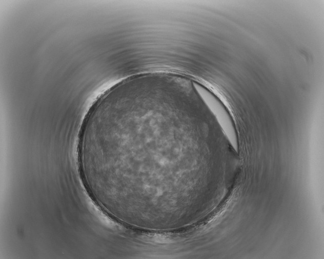 X0000115140995200911101704