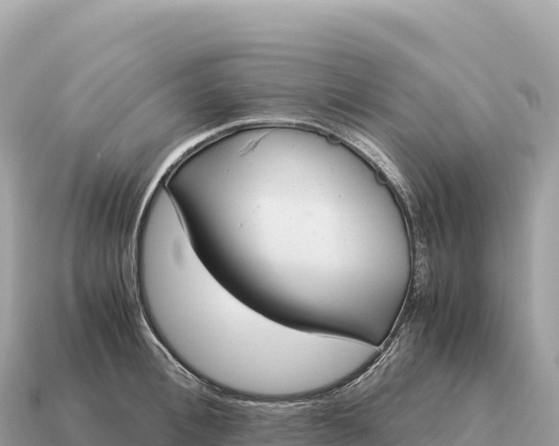 X0000115140996200911101704