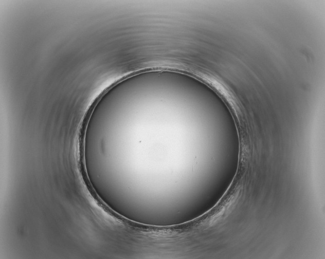 X0000115140999200911101704