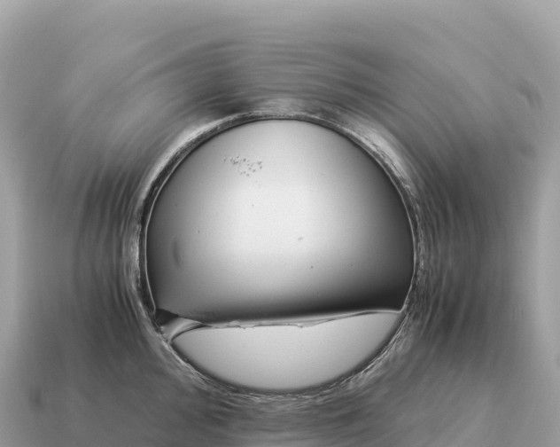 X0000115141000200911101704