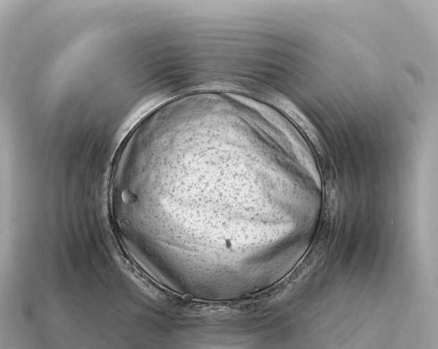 X0000115141002200911101704