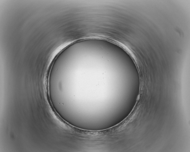 X0000115141003200911101704
