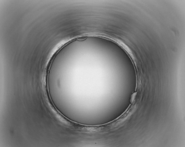 X0000115141005200911101704