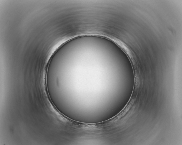 X0000115141006200911101704