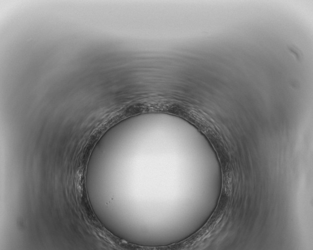 X0000115141010200911101703