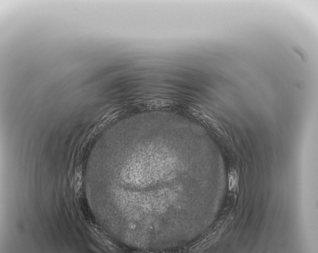 X0000115141011200911101703