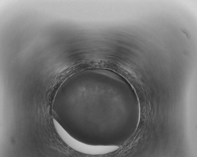 X0000115141013200911101703