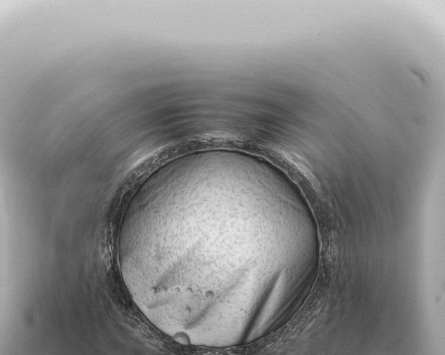 X0000115141015200911101703