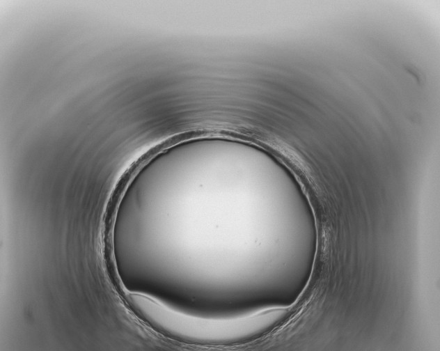 X0000115141020200911101703