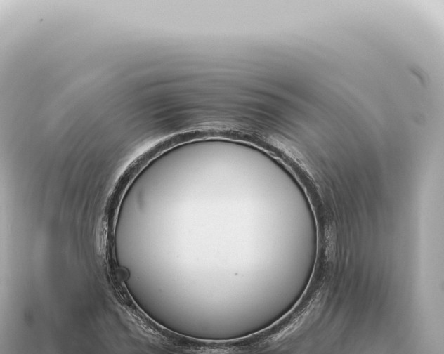 X0000115141021200911101703