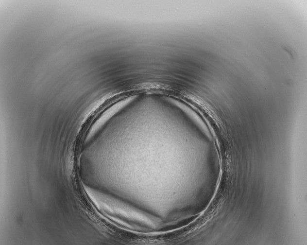 X0000115141023200911101703