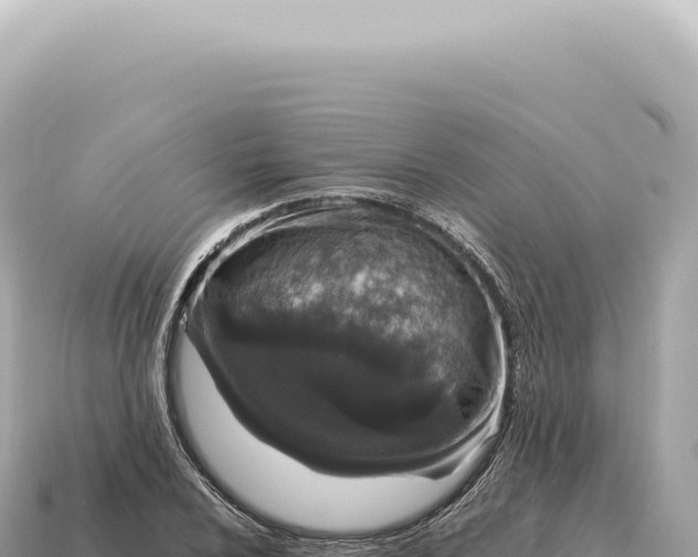X0000115141024200911101703