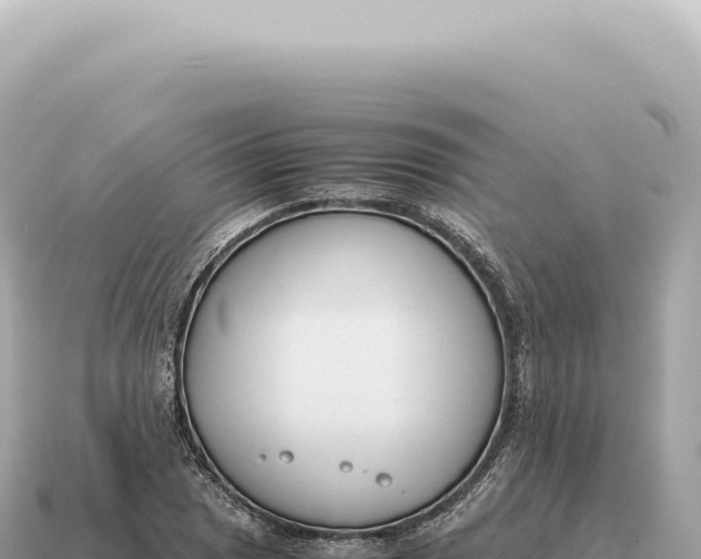 X0000115141025200911101703