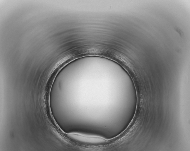 X0000115141026200911101703