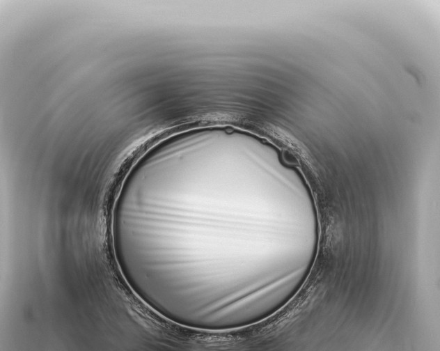 X0000115141027200911101703