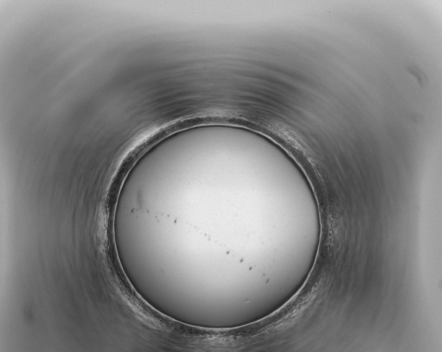 X0000115141029200911101703