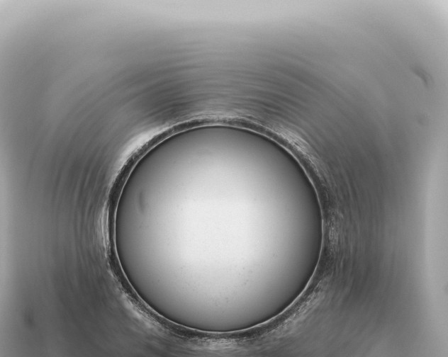 X0000115141030200911101703