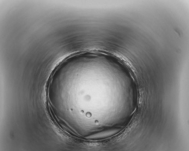 X0000115141031200911101703