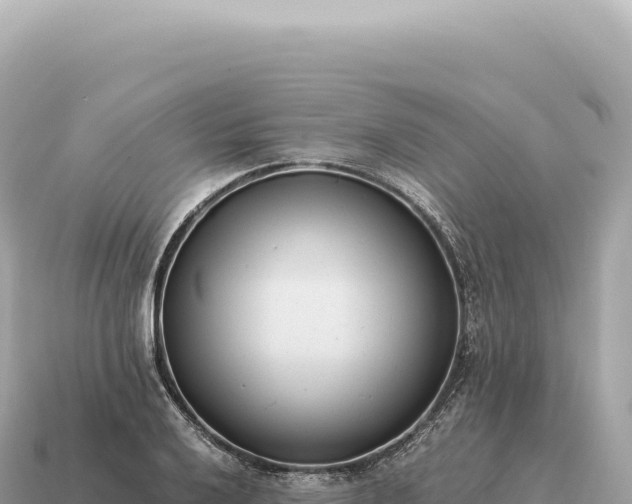 X0000115141032200911101703