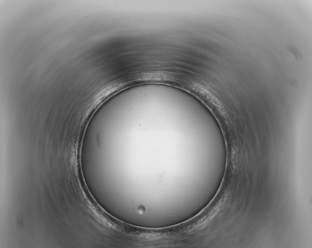 X0000115141033200911101703