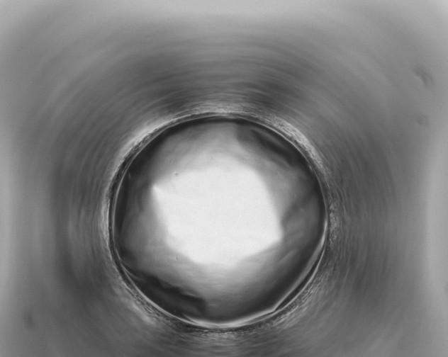 X0000115141035200911101703