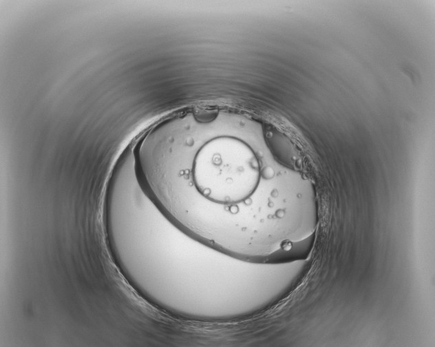 X0000115141036200911101703