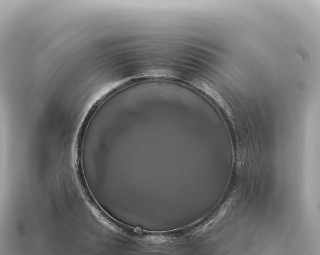 X0000115141037200911101703