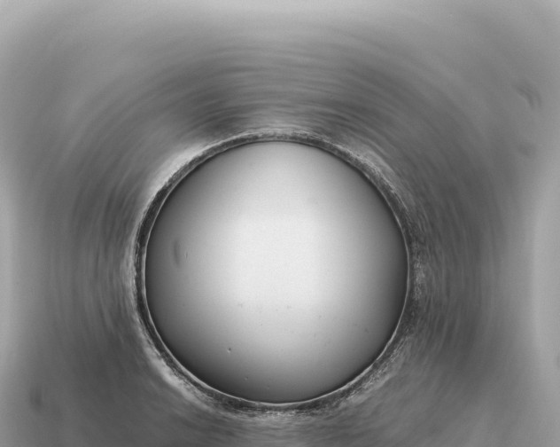 X0000115141038200911101703