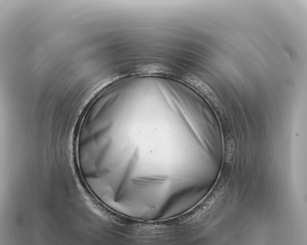X0000115141039200911101703