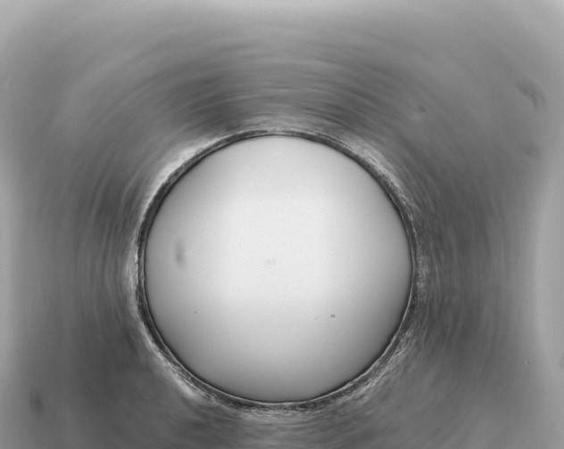 X0000115141040200911101703