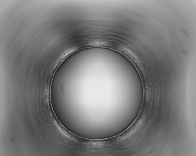X0000115141041200911101703