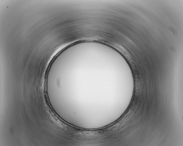 X0000115141044200911101703