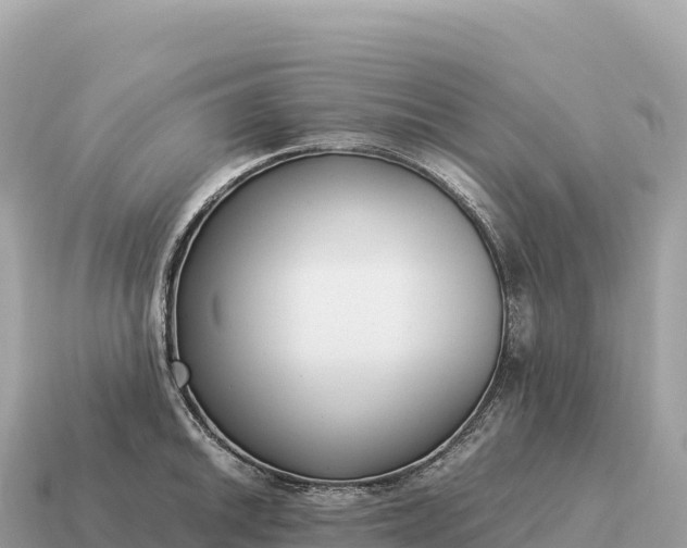 X0000115141046200911101703
