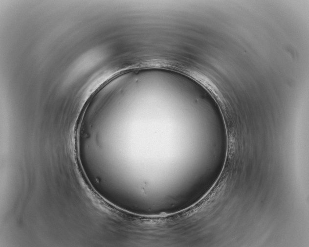 X0000115141047200911101703