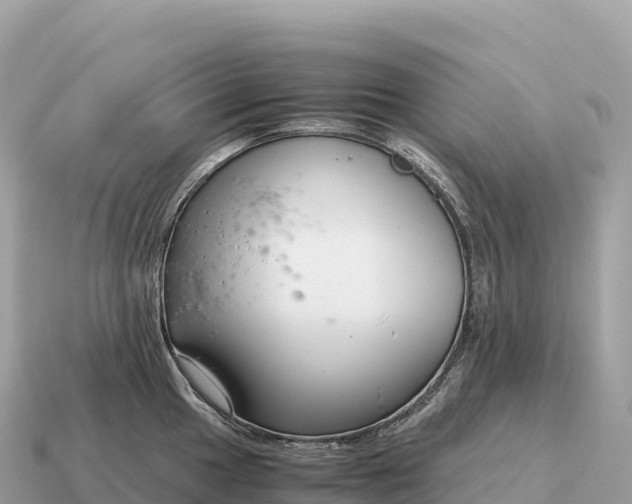 X0000115141049200911101704
