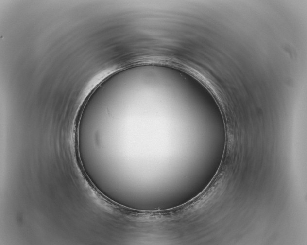 X0000115141050200911101704