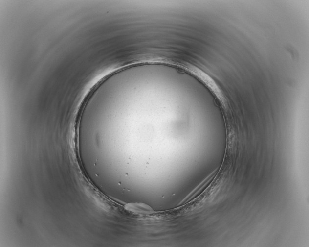 X0000115141051200911101704