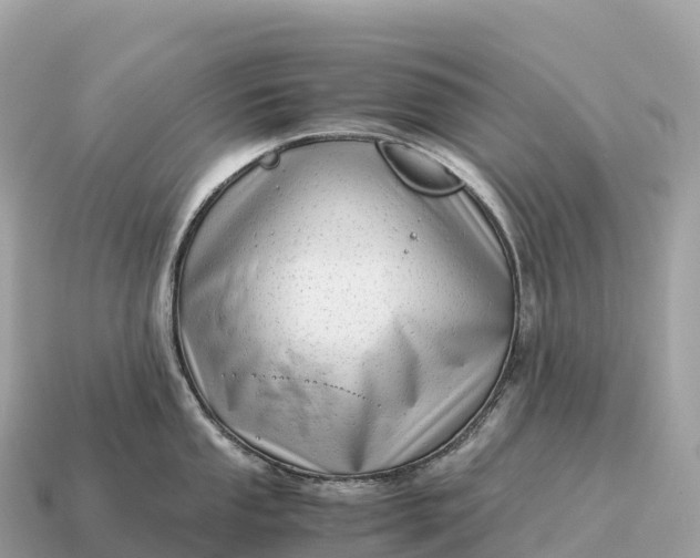 X0000115141053200911101704