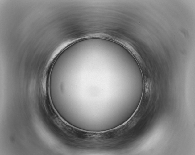 X0000115141054200911101704